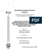 Efecto Del Calcitriol Calbindinas PDF