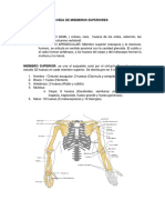 Anatomia Osea de Miembros Superiores