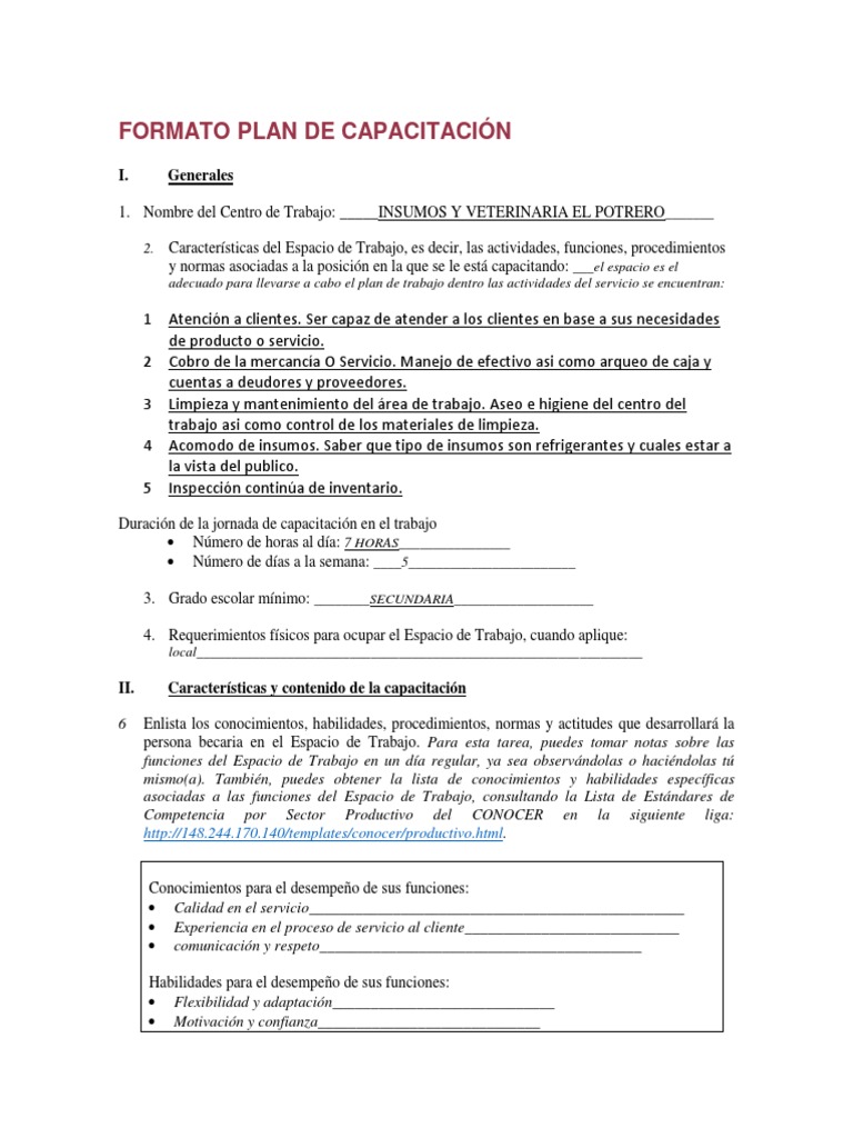 Plan de Capacitación para Jóvenes | PDF | Business