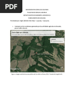 Cultivos Contraste Mundo