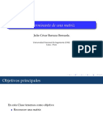 1 PresenMatrices.pdf