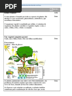 plantas7oano-130802171850-phpapp02