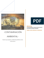 Contaminacion Ambiental