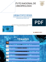 HEMATOPOYESIS (1)