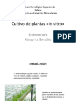 1.2.5 Cultivo de Plantas «in Vitro»