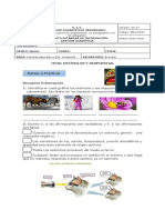 Estímulos y Respuestas PDF