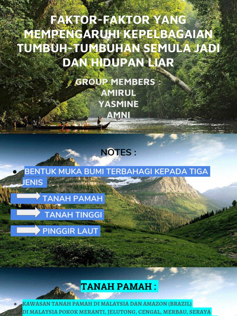 Faktor Yg Mempengaruhi Kepelbagaian Tumbuhan Semula Jadi N Hidupan Liar Pdf