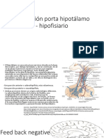 Circulación Porta Hipotálamo - Hipofisiario