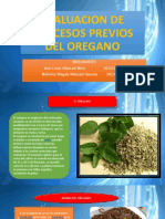 PROCESADO-DE-OREGANO Trabajo