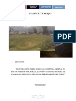 Plan de Trabajo Marangani 30032015