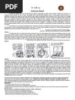 Proposta de Redação