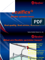 Realflex Promotion Ppt