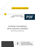 Evaluacion de FX Vertebral