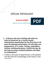 Tutorial Blood Vessel Pathology 2017