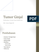 PPT Tumor Ginjal