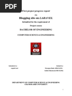 First Project Progress Report