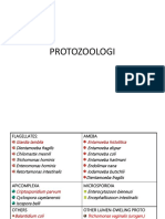 Protozoa Usus Manusia dan Penyakitnya