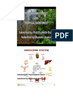 An Introduction to Managerial Accounting and Cost Concepts