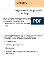 Primate Diversity: The Story Begins With Our Primate Heritage