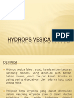 Hydrops Vesica Fellea