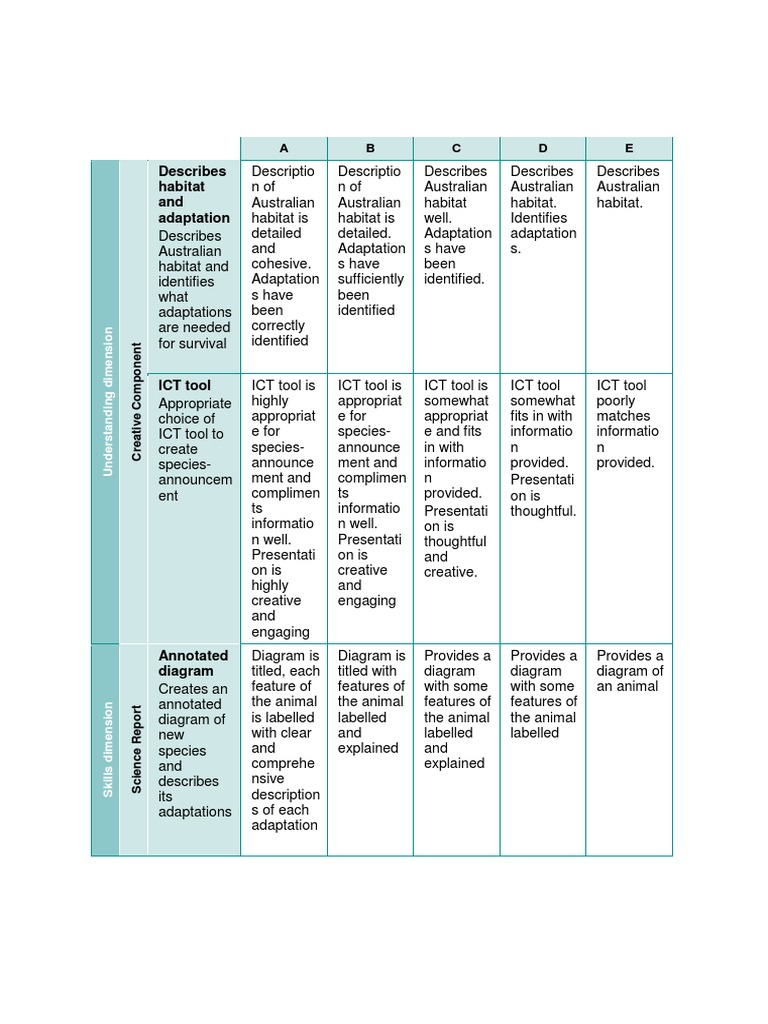 Evaluation Rubric Pdf Cognition