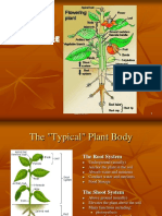 02.agroecosystem Concept