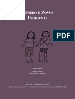 genero_povos_indigenas.pdf