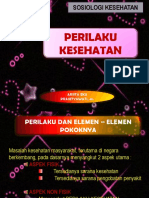 perilaku-kesehatan1 PPT