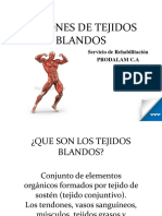 Cap 5 Lesiones de Tej Blandos