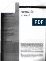 Capítulo 6 - Atención Visual [Goldstein 2009 - Sensación y Percepción].pdf