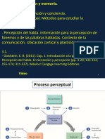 Teorico Percepcion. Goldstein 1