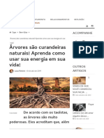 Árvores São Curandeiras Naturais! Aprenda Como Usar Sua Energia