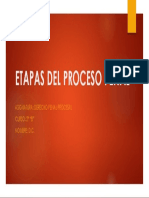 Etapas Del Proceso Penal