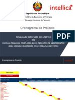 Cronograma Do Projecto e Trabalho de Campo PDF