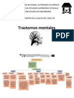 Trastornos-mentales (2).docx