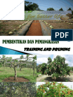 Minggu4 Training&Pruning PDF