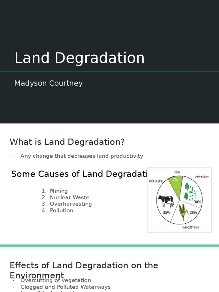 Causes and Solutions for Land Degradation | PDF