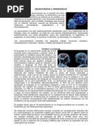 Neurociencia y Aprendizaje