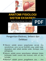 Anatomi Fisiologi Sistem Eksresi
