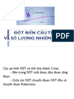 Đột biến cấu trúc-số lượng NST