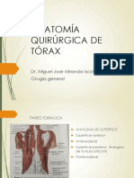 Anatomía Quirúrgica de Tórax