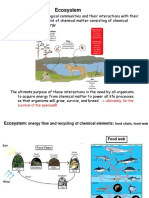 Ecosystem: Ultimately, For The Survival of The Species !!!