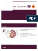 Urolithoasis