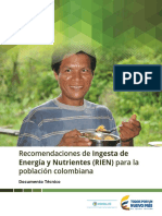 Rien Documento Tecnico PDF