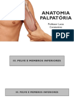 Anatomia palpatória da pélve e membros inferiores