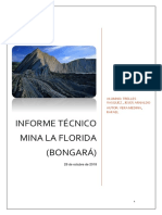 INFORME-TÉCNICO-mina-la-florida - Docx LISTO