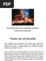 1 - Combate a Incêndios Florestais