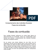 1 - Combate A Incêndios Florestais