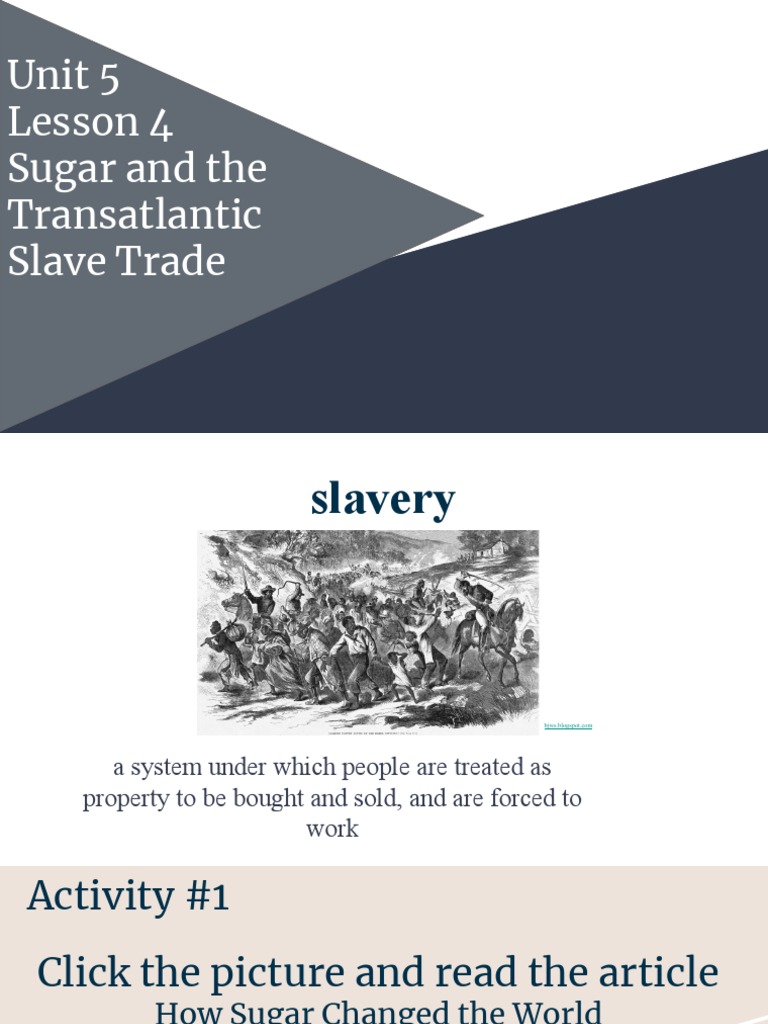 Sugar's Role in Slave Trade History | PDF | Atlantic Slave Trade | Slavery