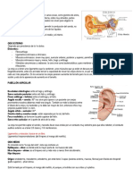 Anatomia Del Oido